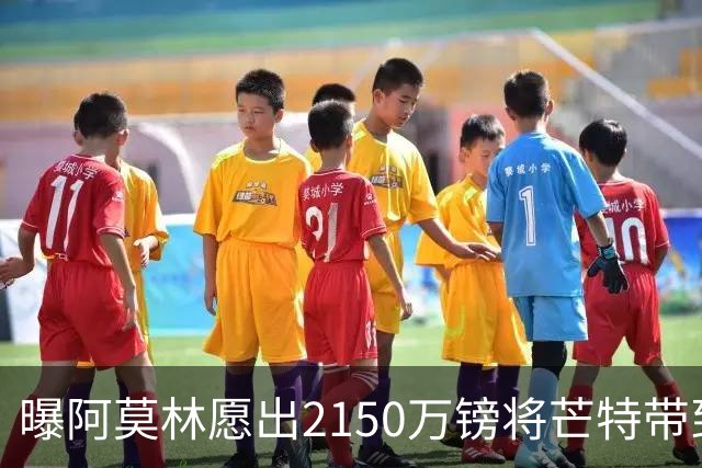 曝阿莫林愿出2150万镑将芒特带到米兰 曼联今夏无意出售
